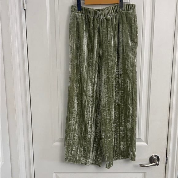 Zara Pants - ZARA Trafaluc Crushed Velvet Pants Velvet Pants in Sage Green